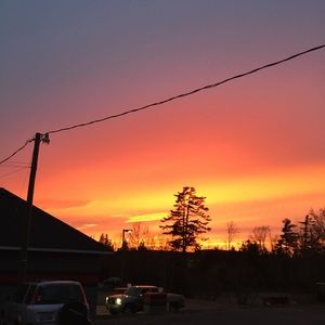 Meet your Posher, Gina